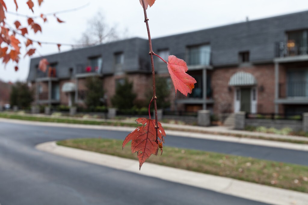Arrowhead Apartments in Loveland, OH