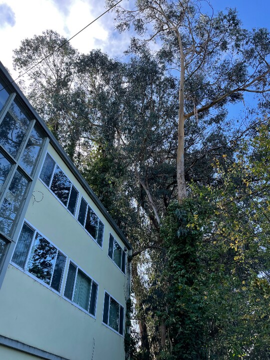 3026 Richmond Blvd in Oakland, CA - Building Photo
