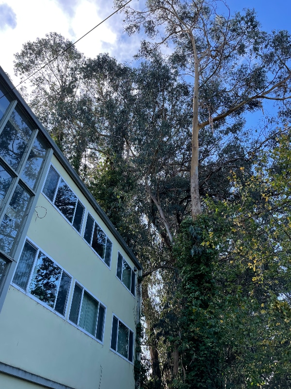 property at 3026 Richmond Blvd