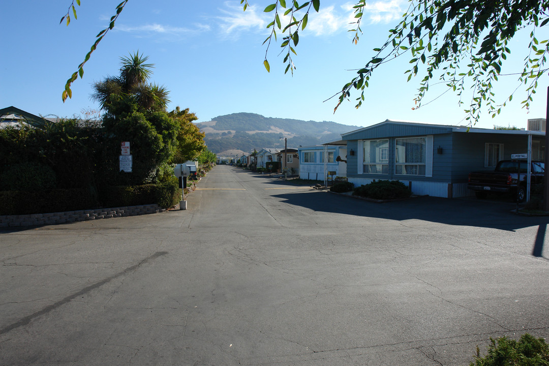 3010 Santa Rosa Ave in Santa Rosa, CA - Building Photo