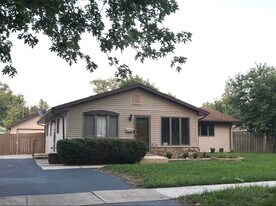 3529 Carpenter St in Steger, IL - Building Photo