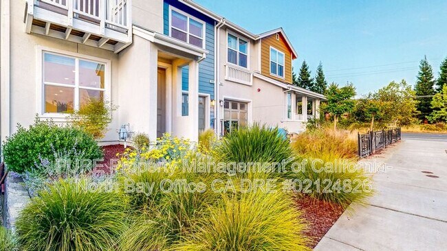 908 Prospect Ave in Santa Rosa, CA - Building Photo - Building Photo
