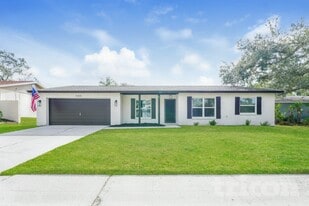 15808 Deep Creek Ln in Tampa, FL - Building Photo