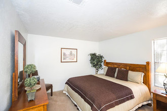 Canyon Oaks in San Antonio, TX - Building Photo - Building Photo