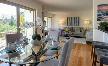 3407 La Selva St in San Mateo, CA - Building Photo - Building Photo