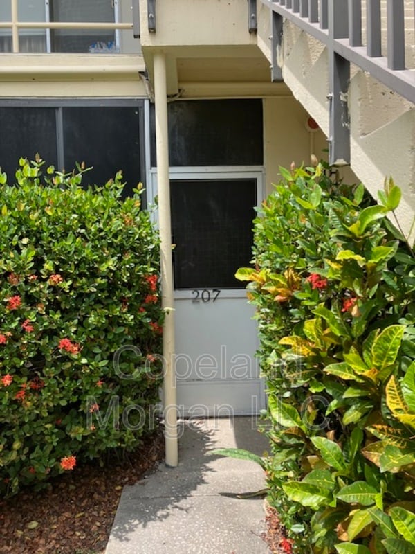 5372 4th St N in St. Petersburg, FL - Building Photo - Building Photo