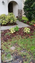 2405 Silvermoss Dr in Wesley Chapel, FL - Building Photo - Building Photo