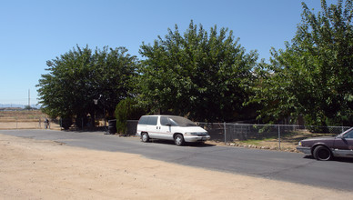 17017 Olive St in Hesperia, CA - Foto de edificio - Building Photo