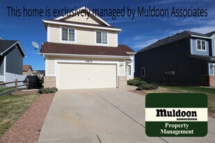 4671 Skywriter Cir in Colorado Springs, CO - Building Photo