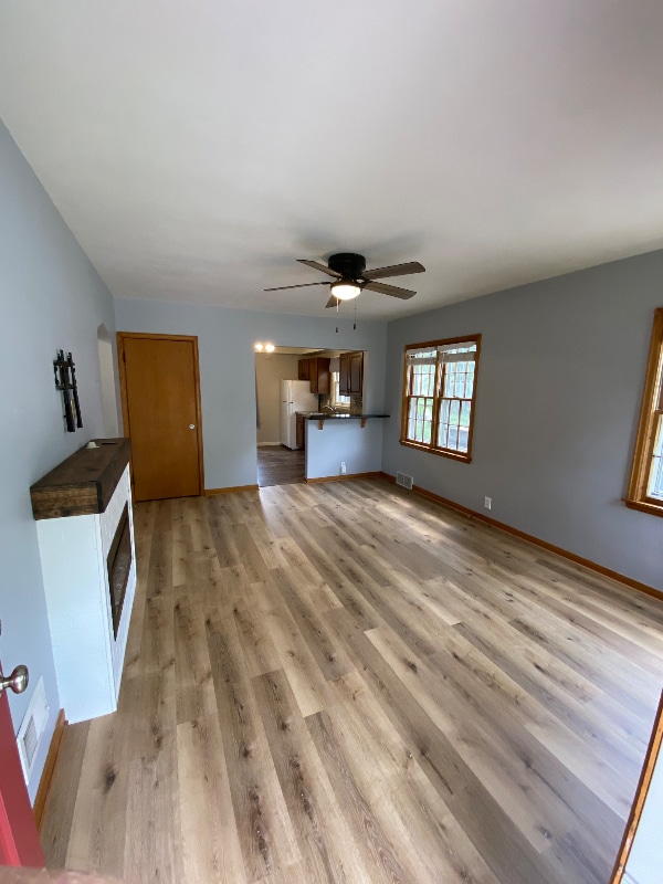 121 Belleview Ave in Mankato, MN - Building Photo - Building Photo