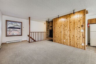 345 N Chipmunk Cir in Silverthorne, CO - Building Photo - Building Photo