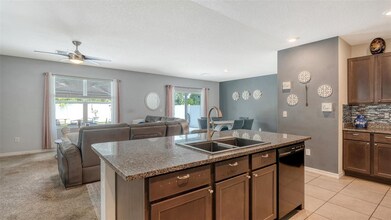 5206 Willow Breeze Wy in Palmetto, FL - Building Photo - Building Photo