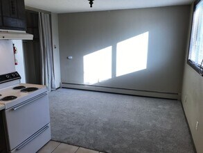 315 Hoyt Ave E in St. Paul, MN - Building Photo - Building Photo