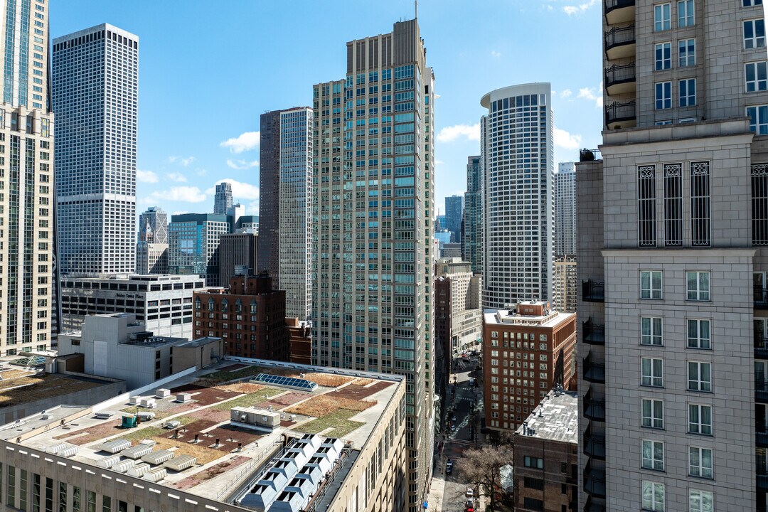 The Bristol Condominiums in Chicago, IL - Building Photo