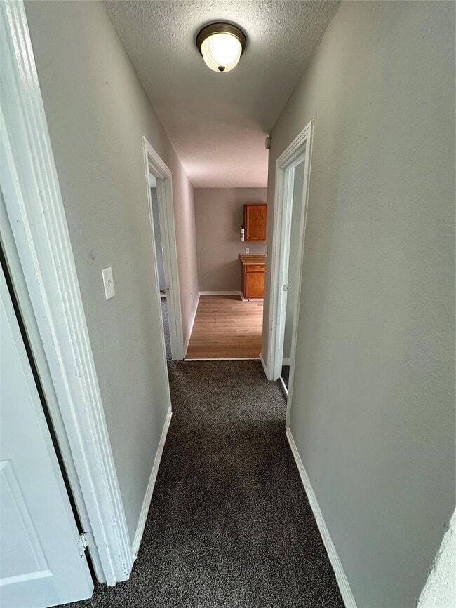 property at 3102 Brackenridge St