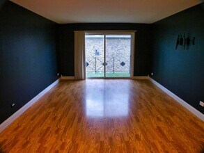 10308 Circle Dr in Oak Lawn, IL - Building Photo - Building Photo