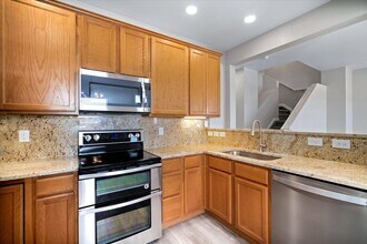 3745 Tranquilty Trail in Castle Rock, CO - Building Photo - Building Photo