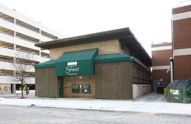 The Forest in Ann Arbor, MI - Foto de edificio - Building Photo