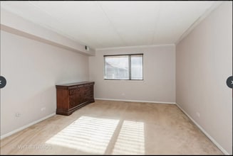 5S066 Pebblewood Ln, Unit B9 in Naperville, IL - Building Photo - Building Photo