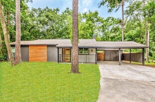 1310 E Red Cedar Cir in Spring, TX - Building Photo