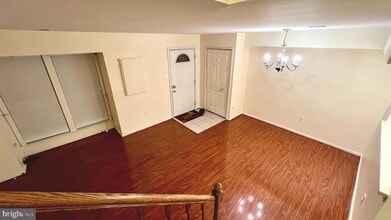 14316 Johnny Moore Ct in Centreville, VA - Building Photo - Building Photo