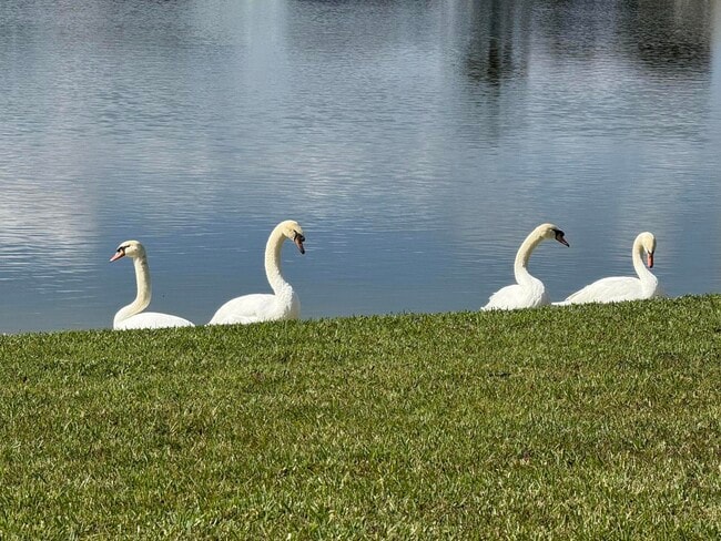 8913 SW Chevy Cir in Stuart, FL - Building Photo - Building Photo