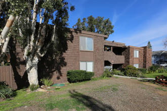 Acacia Apartments in Carlsbad, CA - Building Photo - Building Photo