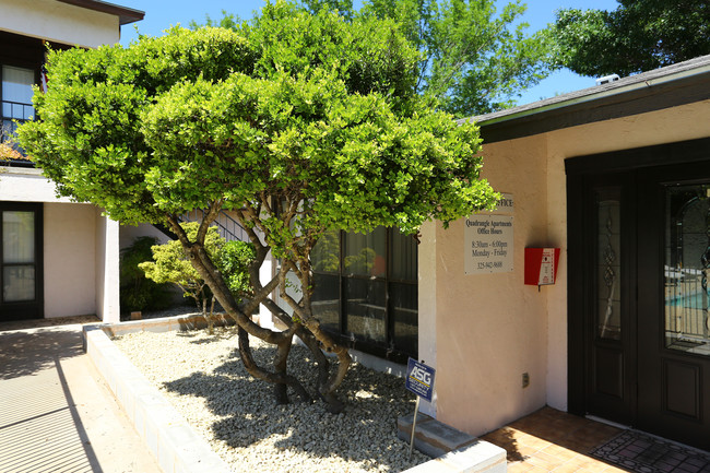 Ashley Oaks Apartments in San Angelo, TX - Building Photo - Building Photo