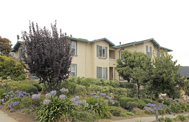 Sunset Vista Apartments in Richmond, CA - Building Photo - Building Photo