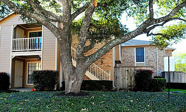 Woodvine Park Condominiums in Houston, TX - Building Photo