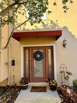 281 Valencia Cir in St. Petersburg, FL - Building Photo