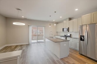 10607 Alice Mae Ct in Orland Park, IL - Building Photo - Building Photo