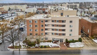 242 Maple Ave in Westbury, NY - Building Photo