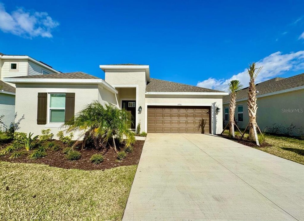 33936 Landsman Lp in Wesley Chapel, FL - Building Photo