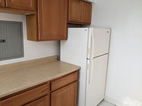 908 Reba Pl in Evanston, IL - Building Photo - Building Photo