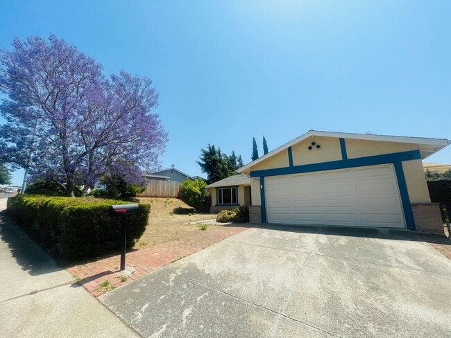property at 1095 Alamo Ct