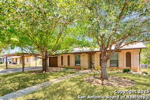 443 River Rd in Schertz, TX - Building Photo - Building Photo
