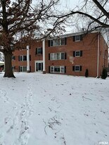 228 E Oak Cliff Ct in Peoria, IL - Building Photo