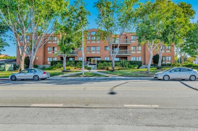2425 S Norfolk St in San Mateo, CA - Building Photo - Building Photo