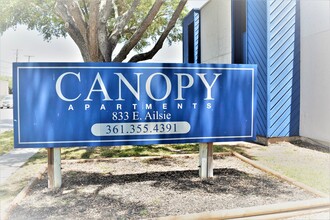 Canopy Apartments in Kingsville, TX - Building Photo - Building Photo