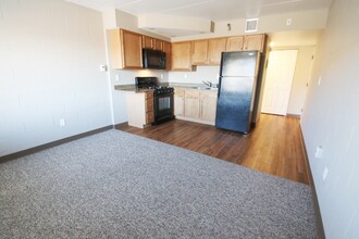 River Tower Apartments in Sioux Falls, SD - Building Photo - Building Photo