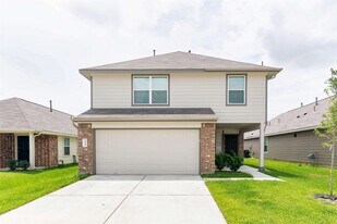 24319 Amaldi Ct in Katy, TX - Building Photo