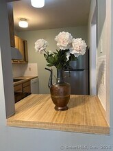 42 Candlewood Lake Rd S in New Milford, CT - Building Photo - Building Photo