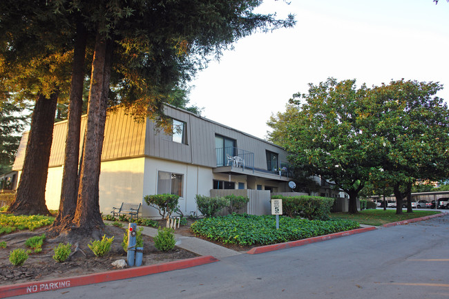 Bay Avenue Senior Apartments in Capitola, CA - Building Photo - Building Photo