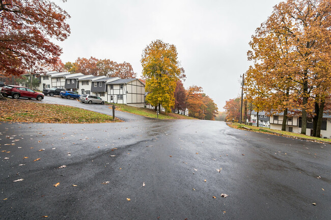 Timberfalls Apartments photo'