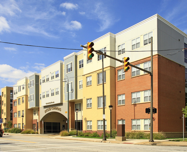 Euclid Commons in Cleveland, OH - Building Photo - Building Photo