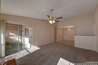 1431 Loma Alto Rd in San Antonio, TX - Building Photo - Building Photo