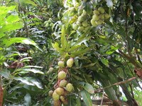 15-1414-1414 24th Ave photo'