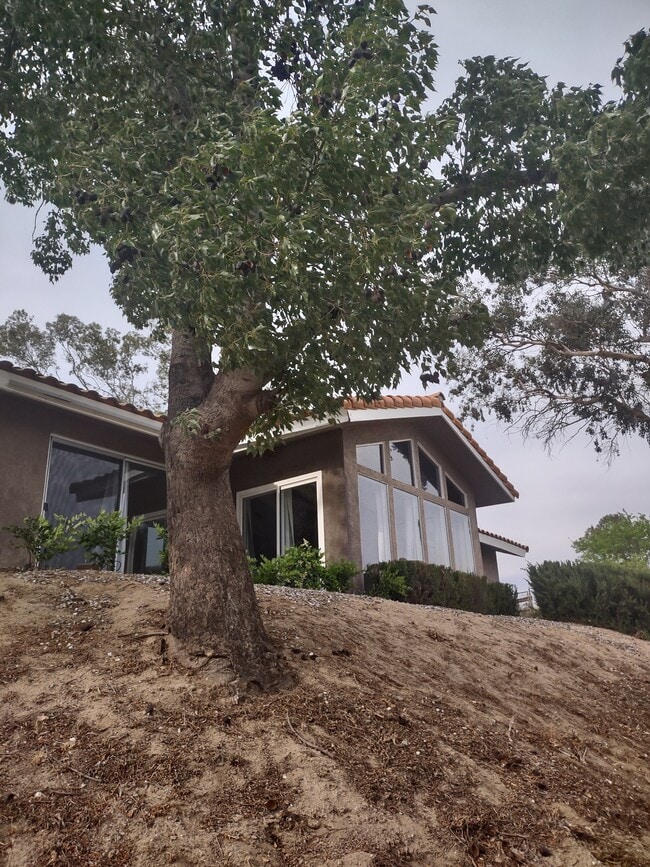 property at 37850 De Portola Rd