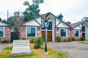29529 Turnbury Village Dr in Spring, TX - Building Photo